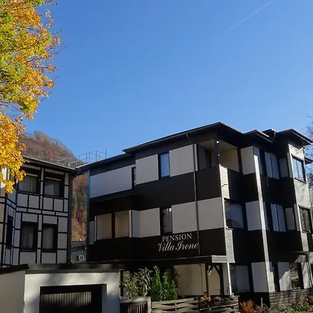 Irene Hotel 3*